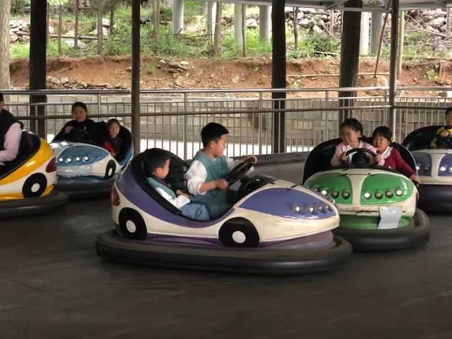 免費(fèi)玩碰碰車(chē)、旋轉(zhuǎn)木馬、小火車(chē)！淄博景區(qū)送福利啦